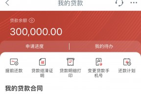 贷款平台只申请会上征信吗?这些隐藏影响你必须知道!